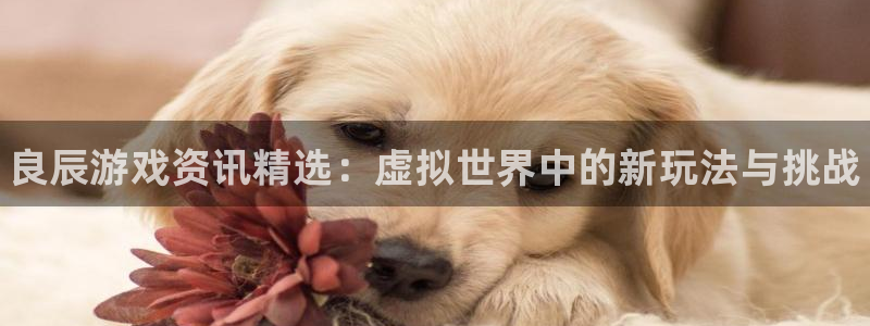 高德娱乐Ii：良辰游戏资讯精选：虚拟世界中的新玩法与挑战