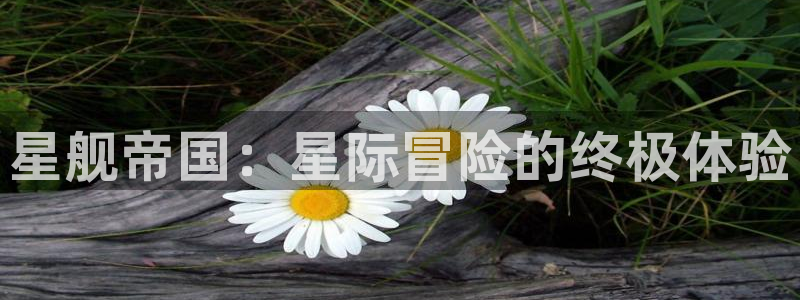 高德娱乐登陆：星舰帝国：星际冒险的终极体验