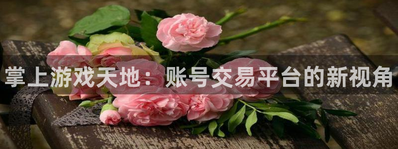 高德娱乐2首页登录：掌上游戏天地：账号交易平台的新视角