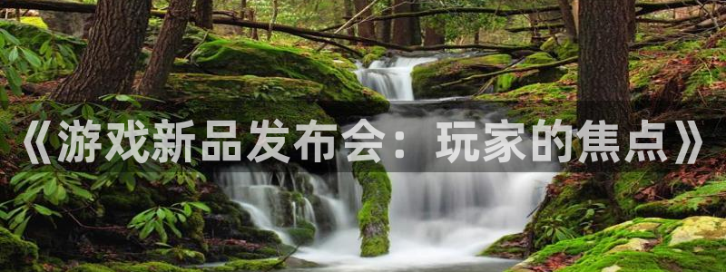 手机版高德娱乐客户端下载：《游戏新品发布会：玩家的焦点》