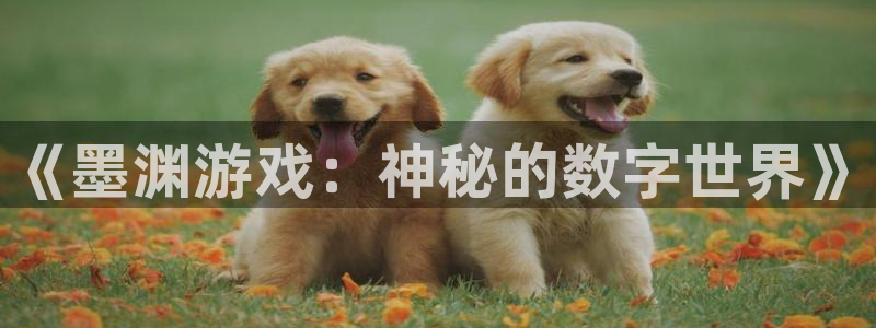 高德娱乐注册服务条款：《墨渊游戏：神秘的数字世界》