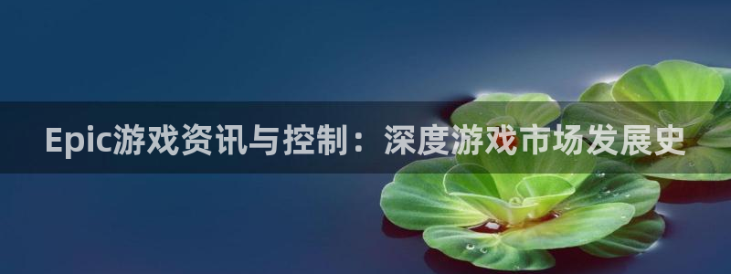 高德娱乐小鱼儿效果好