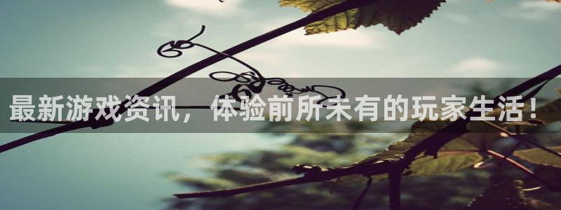 高德娱乐平台141 581