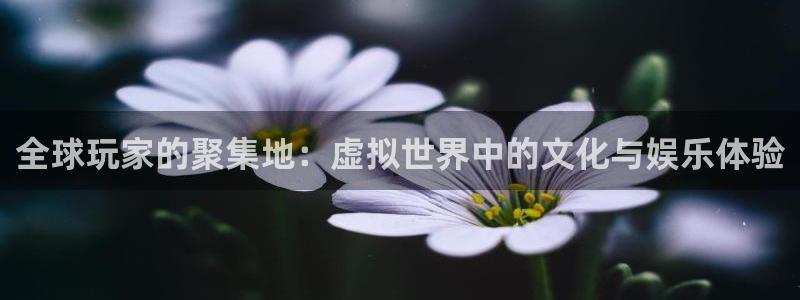高德胡判官333oo