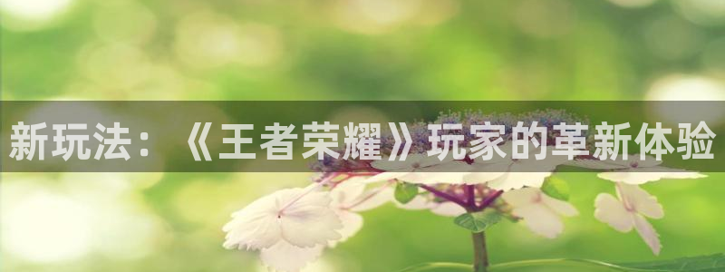 高德娱乐有假吗