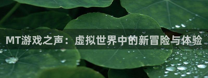 高德娱乐平台独27337：MT游戏之声：虚拟世界中的新冒险与